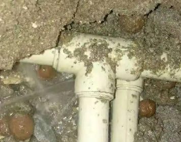 柳南测漏水多少钱