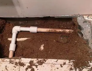 柳南测漏水哪家好