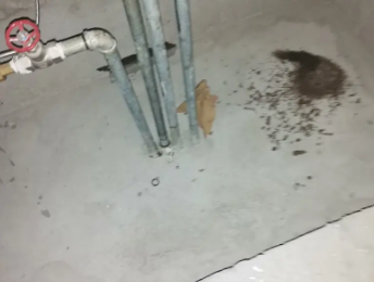 柳南卫生间测漏水价格明细