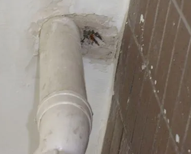 柳南漏水检测哪家好